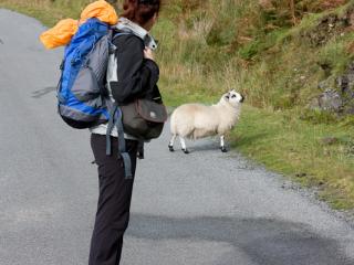 0571-schottland-08