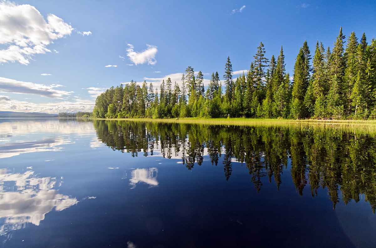 Fattigmansholmen, Norwegen