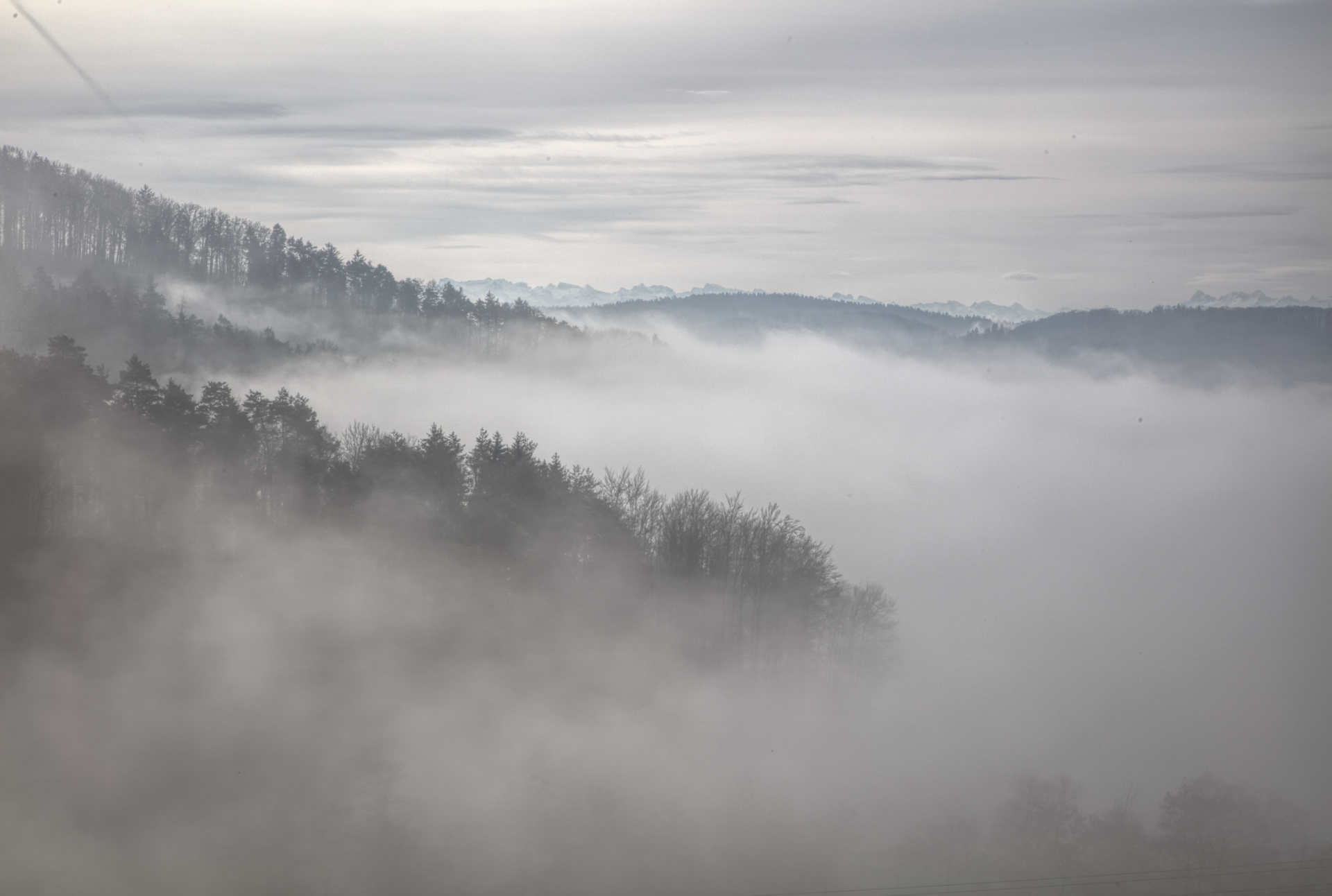Irchel Nebellandschaft mit Blick zum Uetliberg
