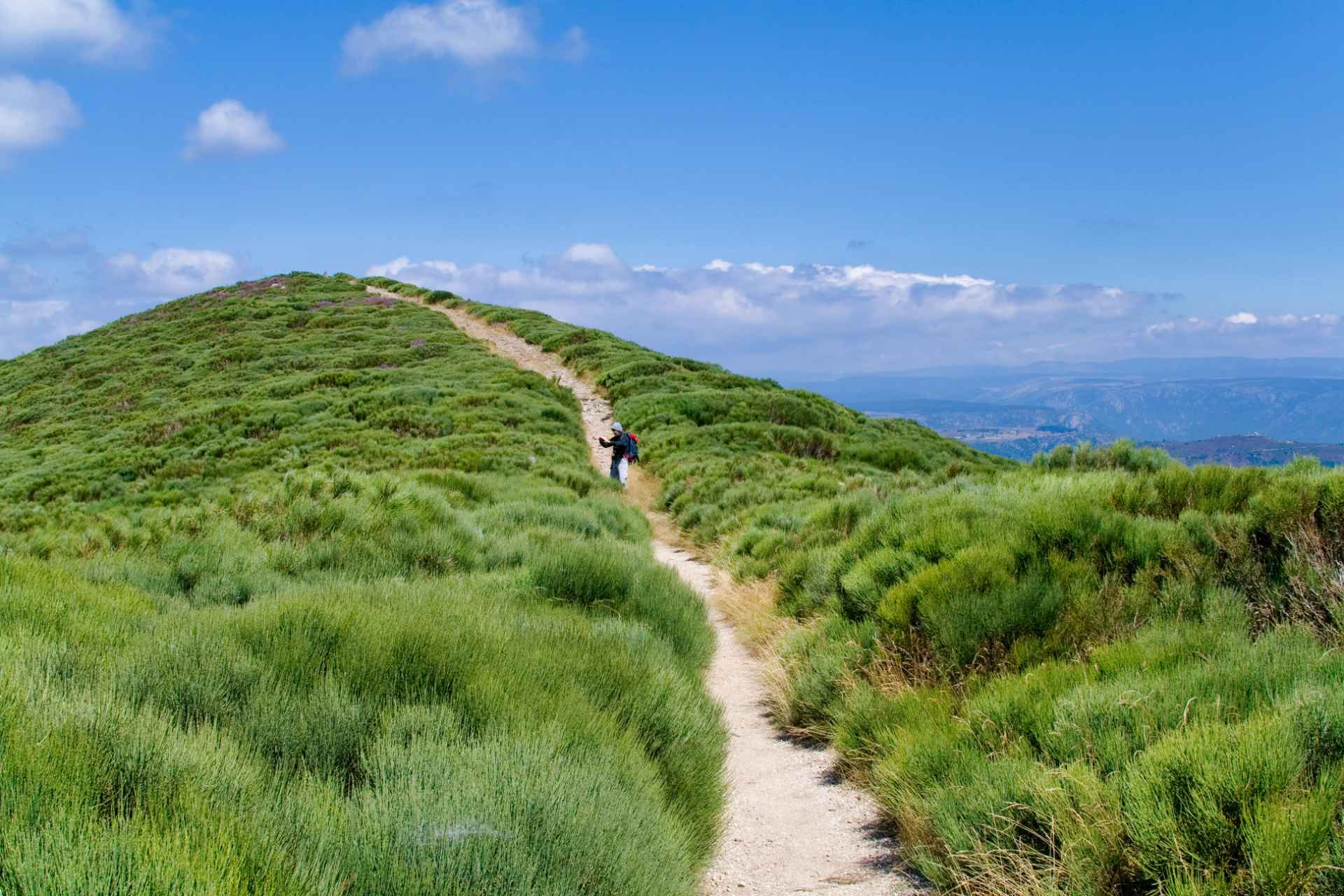 Naturpark Pyrenees Ariegeoises 8014