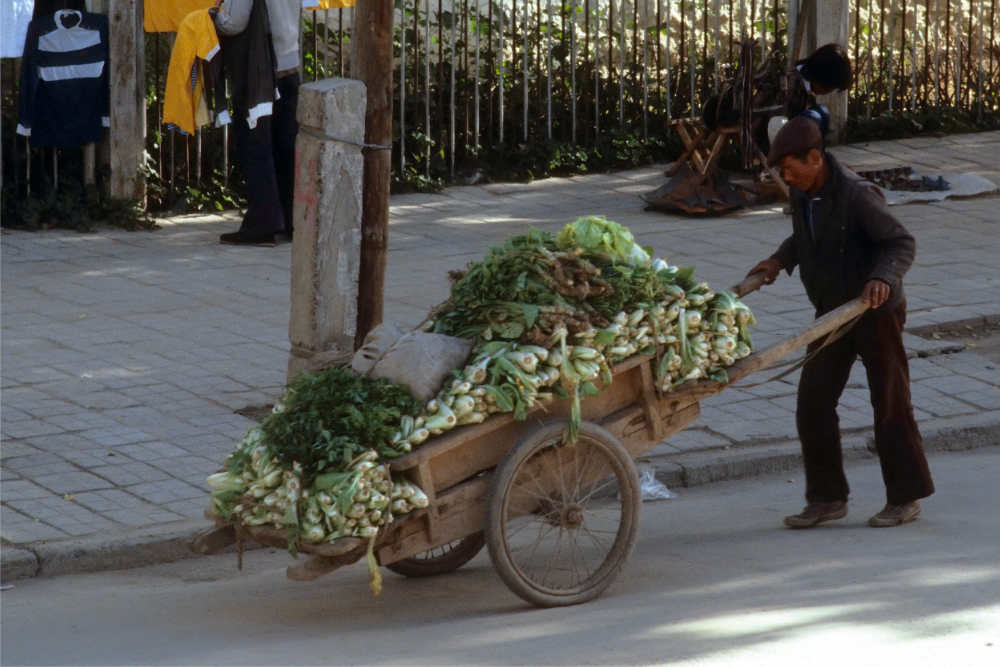 Ein Gemüsebauer bringt am Morgen seine Waren auf einem grossen Schubkarren in das Zentrum von Ürümqi. 